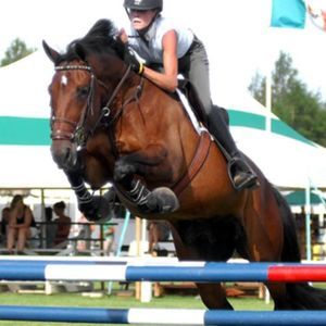 Meet your Posher, Vanessa